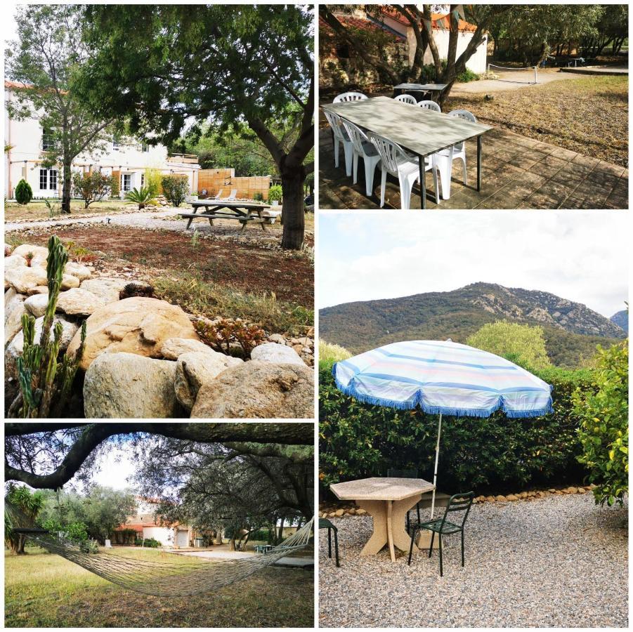 Mas Paret Studio Plein Sud - Parc 1 Ha Au Calme Argeles-sur-Mer Ngoại thất bức ảnh
